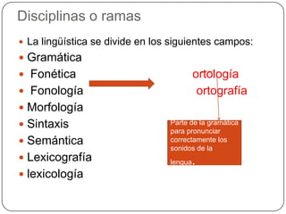 Disciplinas o ramas
 La lingüística se divide en los siguientes campos:
 Gramática
 Fonética                                ortología
 Fonología                                ortografía
 Morfología
 Sintaxis                       Parte de la gramática
                                 para pronunciar
 Semántica                      correctamente los
                                 sonidos de la
 Lexicografía                   lengua.
 lexicología
 