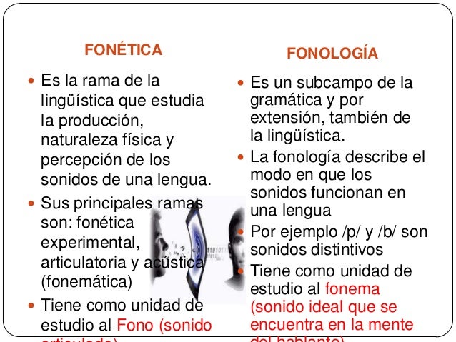 Linguistica Normativa Y Descriptiva Linguistica Normativa Y Descriptiva