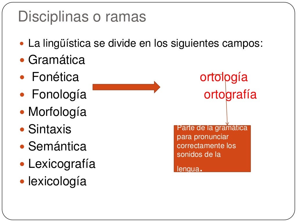 Ramas de la lingüística
