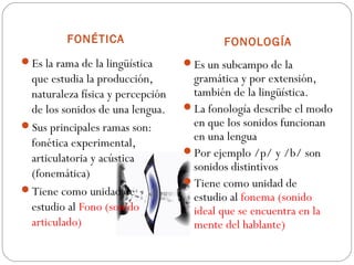 FONÉTICA
Es la rama de la lingüística

que estudia la producción,
naturaleza física y percepción
de los sonidos de una lengua.
Sus principales ramas son:
fonética experimental,
articulatoria y acústica
(fonemática)
Tiene como unidad de
estudio al Fono (sonido
articulado)

FONOLOGÍA
Es un subcampo de la

gramática y por extensión,
también de la lingüística.
La fonología describe el modo
en que los sonidos funcionan
en una lengua
Por ejemplo /p/ y /b/ son
sonidos distintivos
Tiene como unidad de
estudio al fonema (sonido
ideal que se encuentra en la
mente del hablante)

 