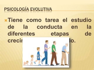 PSICOLOGÍA EVOLUTIVA
Tiene como tarea el estudio
de la conducta en la
diferentes etapas de
crecimiento y desarrollo.
 