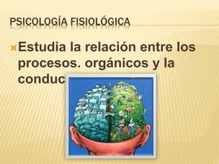 PSICOLOGÍA FISIOLÓGICA
Estudia la relación entre los
procesos. orgánicos y la
conducta
 