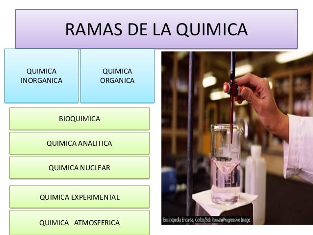 Ramas de la quimica