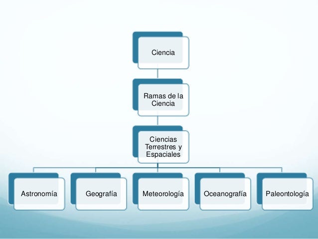 Cuales Son Las Ramas De La Ciencia mavink.com