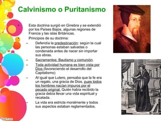 • Esta doctrina surgió en Ginebra y se extendió
por los Países Bajos, algunas regiones de
Francia y las islas Británicas.
• Principios de su doctrina:
– Defendía la predestinación: según la cual
las personas estaban salvadas o
condenada antes de nacer sin importar
sus obras.
– Sacramentos: Bautismo y comunión.
– Toda actividad humana es bien vista por
Dios (favoreciendo el desarrollo del
Capitalismo)
– Al igual que Lutero, pensaba que la fe era
un regalo, una gracia de Dios, pues todos
los hombres nacían impuros por el
pecado original. Quién había recibido la
gracia debía llevar una vida espiritual y
recatada.
– La vida era estricta moralmente y todos
sus aspectos estaban reglamentados.
Calvinismo o Puritanismo
 