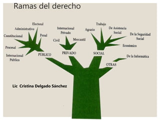 Ramas del derecho
Lic. Cristina Delgado Sánchez
 