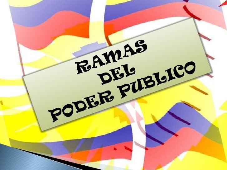 Ramas del poder publico