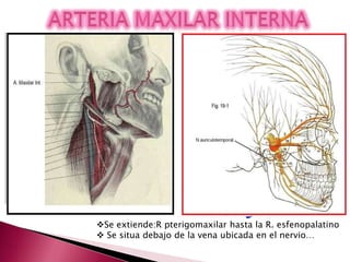 Linea trazadadesde el borde superior…