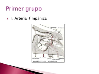 arteria Maxilar internaSe extiende:R pterigomaxilar hasta la R. esfenopalatino