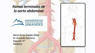 Ramas terminales de
la aorta abdominal
María de los Ángeles Aldaz
Dr. Armando Quintana
Segundo “C”
Medicina
 