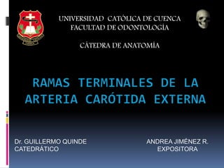 UNIVERSIDAD CATÓLICA DE CUENCA
FACULTAD DE ODONTOLOGÍA
CÁTEDRA DE ANATOMÍA
ANDREA JIMÉNEZ R.
EXPOSITORA
Dr. GUILLERMO QUINDE
CATEDRÁTICO
 