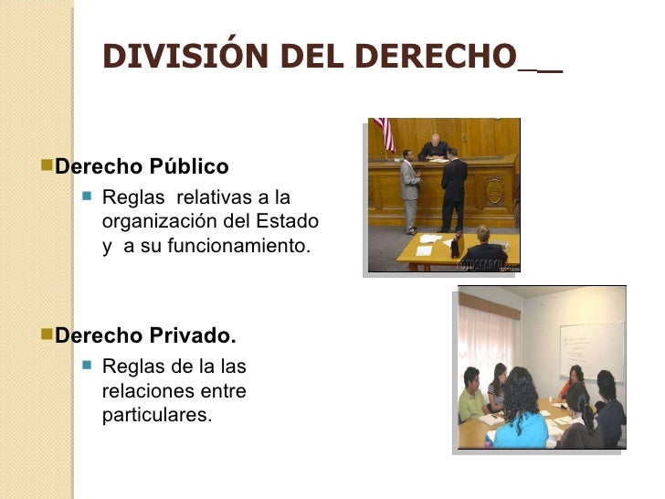 Ramas y fuentes del derecho
