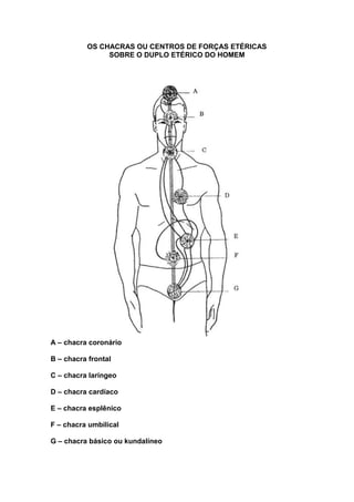 OS CHACRAS OU CENTROS DE FORÇAS ETÉRICAS
               SOBRE O DUPLO ETÉRICO DO HOMEM




A – chacra coronário

B – chacra frontal

C – chacra laríngeo

D – chacra cardíaco

E – chacra esplênico

F – chacra umbilical

G – chacra básico ou kundalíneo
 