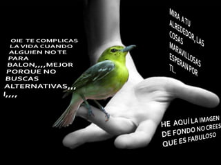 MIRA  A TU ALREDEDOR, LAS COSAS MARAVILLOSAS ESPERAN POR TI..….OIE  TE COMPLICAS LA VIDA CUANDO ALGUIEN NO TE PARA BALON,,,,MEJOR PORQUE NO BUSCAS ALTERNATIVAS,,, I,,,,HE  AQUÍ LA IMAGEN DE FONDO NO CREES QUE ES FABULOSO..