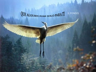 QUE ALGUIEN POSE SOLO PARA TI (I. FONDO)