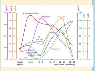 Stefan Blankenberg, MD; Renate Schnabel, MD; Edith Lubos, MD, et al., Myeloperoxidase Early Indicator of Acute Coronary Syndrome and
Predictor of Future Cardiovascular Events 2005
 