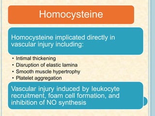 Homocysteine implicated directly in
vascular injury including:
• Intimal thickening
• Disruption of elastic lamina
• Smooth muscle hypertrophy
• Platelet aggregation
Vascular injury induced by leukocyte
recruitment, foam cell formation, and
inhibition of NO synthesis
Homocysteine
 