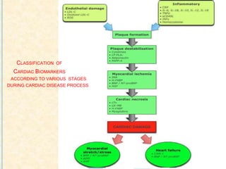 CLASSIFICATION OF
CARDIAC BIOMARKERS
ACCORDING TO VARIOUS STAGES
DURING CARDIAC DISEASE PROCESS
 
