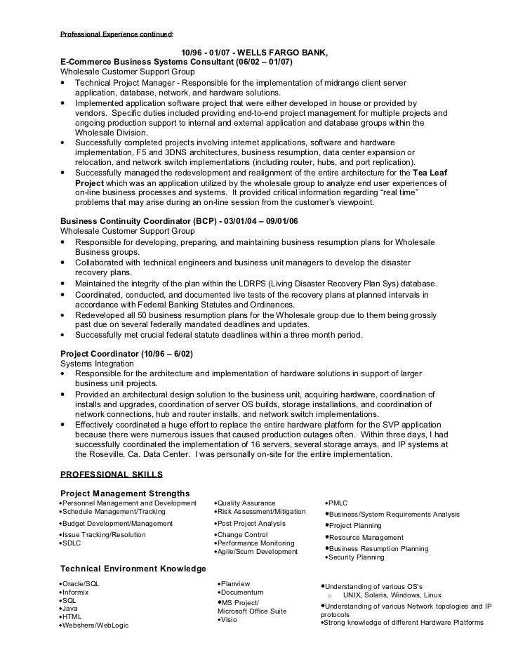 technical project manager resume samples