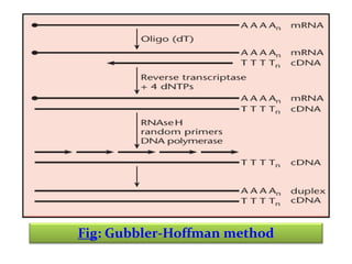 Fig: Gubbler-Hoffman method

 