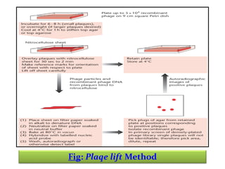 Fig: Plaqe lift Method

 