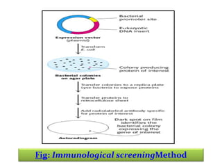 Fig: Immunological screeningMethod

 