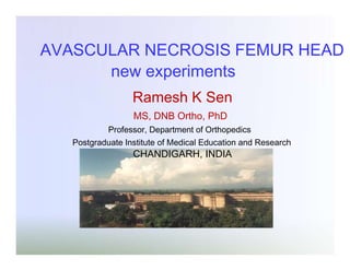 AVASCULAR NECROSIS FEMUR HEAD
new experiments
Ramesh K Sen
MS, DNB Ortho, PhD
Professor, Department of Orthopedics

Postgraduate Institute of Medical Education and Research

CHANDIGARH, INDIA

 
