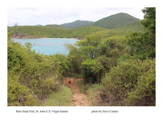 Ram Head Trail, St. John U.S. Virgin Islands photo by Steve Cantler
 