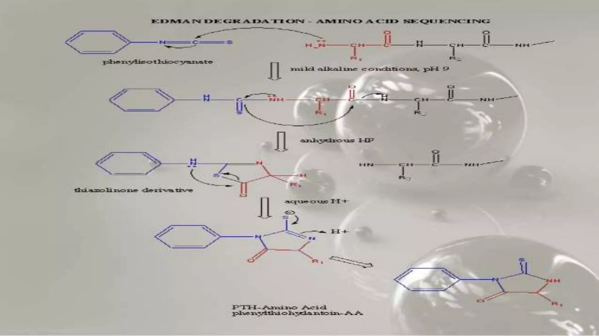 Protein Sequence Analysis PPTX Chemistry Science Protein sequence analysis pptx chemistry science