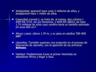 Antigüedad :apareció hace unos 2 millones de años, y desapareció hace 1 millón de años. Capacidad craneal:); se trata de, al menos, dos  cráneos  ( KNM-ER 3733 , tal vez femenino, y  KNM-ER 3883 ) 1  de hace 1,75 millones de años cuyo  cerebro  tenía un tamaño estimado en unos 850  cm³ .  Altura y peso :altura 1.70 m, y su peso en adultos 700–850  cm³   Utensilios :También suponen una evolución en el proceso de fabricación de utensilio, con la aparición de los primeros  Befases . Habitad: Posiblemente fuese el primer Homínido en abandonar África y llegar a Asia.  