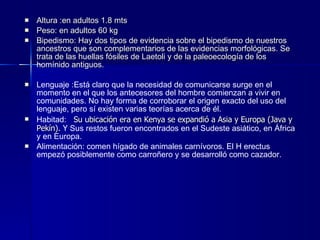 Altura :en adultos 1.8 mts  Peso: en adultos 60 kg  Bipedismo: Hay dos tipos de evidencia sobre el bipedismo de nuestros ancestros que son complementarios de las evidencias morfológicas. Se trata de las huellas fósiles de Laetoli y de la paleoecología de los homínido antiguos.   Lenguaje :Está claro que la necesidad de comunicarse surge en el momento en el que los antecesores del hombre comienzan a vivir en comunidades. No hay forma de corroborar el origen exacto del uso del lenguaje, pero sí existen varias teorías acerca de él.  Habitad:   Su ubicación era en Kenya se expandió a Asia y Europa (Java y Pekín).  Y  Sus restos fueron encontrados en el Sudeste asiático, en África y en Europa. Alimentación: comen hígado de animales carnívoros. El H erectus empezó posiblemente como carroñero y se desarrolló como cazador.  