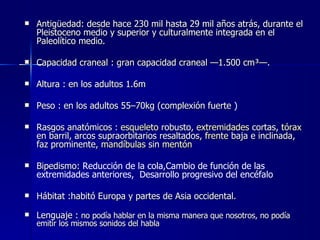 Antigüedad: desde hace 230 mil hasta 29 mil años atrás, durante el Pleistoceno medio y superior y culturalmente integrada en el Paleolítico medio.   Capacidad craneal : gran capacidad craneal —1.500 cm³—.   Altura : en los adultos 1.6m Peso : en los adultos 55–70kg (complexión fuerte  ) Rasgos anatómicos :  esqueleto  robusto,  extremidades  cortas,  tórax  en barril, arcos supraorbitarios resaltados,  frente  baja e inclinada, faz prominente,  mandíbulas  sin  mentón   Bipedismo:  Reducción de la cola,Cambio de función de las extremidades anteriores,  Desarrollo progresivo del encéfalo Hábitat :habitó Europa y partes de Asia occidental. Lenguaje :  no podía hablar en la misma manera que nosotros, no podía emitir los mismos sonidos del habla   