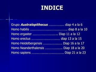 INDICE Grupo  Australopithecus  ……………… diap 4 a la 6 Homo habilis ……………………………………. diap 8 a la 10 Homo ergaster ……………………….. Diap 11 a la 12 Homo erectus …………………………… diap 13 a la 15 Homo Heidelbergensis …………………. Diap 16 a la 17 Homo  Neanderthalensis ……………….. Diap 18 a la 20 Homo sapiens ………………………………. Diap 21 a la 23  