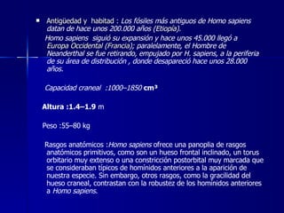 Antigüedad y  habitad :  Los fósiles más antiguos de Homo sapiens datan de hace unos 200.000 años ( Etiopía ). Homo sapiens  siguió su expansión y hace unos 45.000 llegó a  Europa Occidental  ( Francia ); paralelamente, el Hombre de Neanderthal se fue retirando, empujado por H. sapiens, a la periferia de su área de distribución , donde desapareció hace unos 28.000 años.  Capacidad craneal  : 1000–1850   cm³ Altura :1.4–1.9  m  Peso :55–80 kg Rasgos anatómicos : Homo sapiens  ofrece una panoplia de rasgos anatómicos primitivos, como son un hueso frontal inclinado, un torus orbitario muy extenso o una constricción postorbital muy marcada que se consideraban típicos de homínidos anteriores a la aparición de nuestra especie. Sin embargo, otros rasgos, como la gracilidad del hueso craneal, contrastan con la robustez de los homínidos anteriores a  Homo sapiens .  