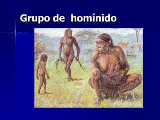 Grupo de  homínido   