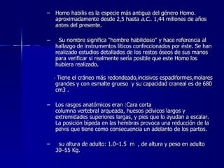 Homo habilis es la especie más antigua del género Homo. aproximadamente desde 2,5 hasta  a.C. . 1,44 millones de años antes del presente.  Su nombre significa "hombre habilidoso" y hace referencia al hallazgo de instrumentos líticos confeccionados por éste. Se han realizado estudios detallados de los restos óseos de sus manos para verificar si realmente sería posible que este Homo los hubiera realizado. -  Tiene el cráneo más redondeado,incisivos espadiformes,molares grandes y con esmalte grueso  y su capacidad craneal es de 680 cm3 . Los rasgos anatómicos eran :Cara corta  columna vertebral arqueada, huesos pélvicos largos y extremidades superiores largas, y pies que lo ayudan a escalar. La posición bípeda en las hembras provoca una reducción de la pelvis que tiene como consecuencia un adelanto de los partos.  su altura de adulto: 1.0–1.5  m  , de altura y peso en adulto  30–55 Kg. 