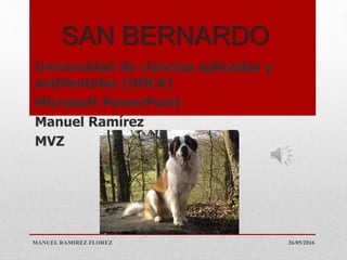 SAN BERNARDO
Universidad de ciencias aplicadas y
ambientales (UDCA)
Microsoft PowerPoint
Manuel Ramírez
MVZ
26/05/2016MANUEL RAMIREZ FLOREZ
 