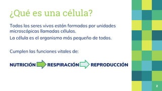 ¿Qué es una célula?
Todos los seres vivos están formados por unidades
microscópicas llamadas células.
La célula es el orga...