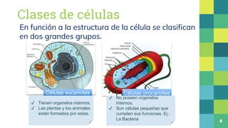 Clases de células
8
Células eucariotas Células procariotas
En función a la estructura de la célula se clasifican
en dos gr...