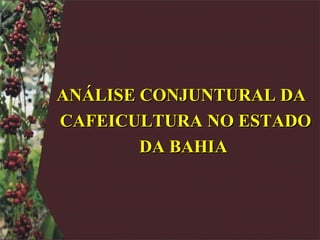 ANÁLISE CONJUNTURAL DA  CAFEICULTURA NO ESTADO DA BAHIA 