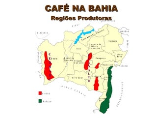 CAFÉ NA BAHIA Regiões Produtoras PLANALTO CERRADO 