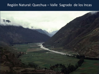 Región Natural: Quechua – Valle Sagrado de los Incas
 