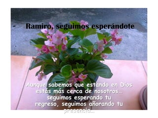 Ramiro, seguimos esperándote




Aunque sabemos que estando en Dios
   estás más cerca de nosotros…
       seguimos esperando tu
   regreso, seguimos añorando tu
             presencia…
 