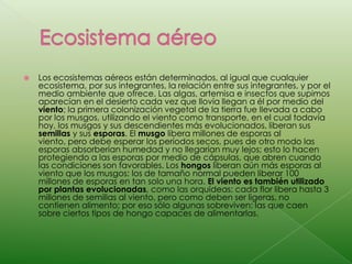 Ecosistema aéreoLos ecosistemas aéreos están determinados, al igual que cualquier ecosistema, por sus integrantes, la relación entre sus integrantes, y por el medio ambiente que ofrece. Las algas, artemisa e insectos que supimos aparecían en el desierto cada vez que llovía llegan a él por medio del viento; la primera colonización vegetal de la tierra fue llevada a cabo por los musgos, utilizando el viento como transporte, en el cual todavía hoy, los musgos y sus descendientes más evolucionados, liberan sus semillas y sus esporas. El musgo libera millones de esporas al viento, pero debe esperar los períodos secos, pues de otro modo las esporas absorberían humedad y no llegarían muy lejos; esto lo hacen protegiendo a las esporas por medio de cápsulas, que abren cuando las condiciones son favorables. Los hongos liberan aún más esporas al viento que los musgos: los de tamaño normal pueden liberar 100 millones de esporas en tan solo una hora. El viento es también utilizado por plantas evolucionadas, como las orquídeas: cada flor libera hasta 3 millones de semillas al viento, pero como deben ser ligeras, no contienen alimento; por eso sólo algunas sobreviven: las que caen sobre ciertos tipos de hongo capaces de alimentarlas.