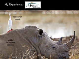 My Experience:
utility
back-office
software
consumer
portal
 