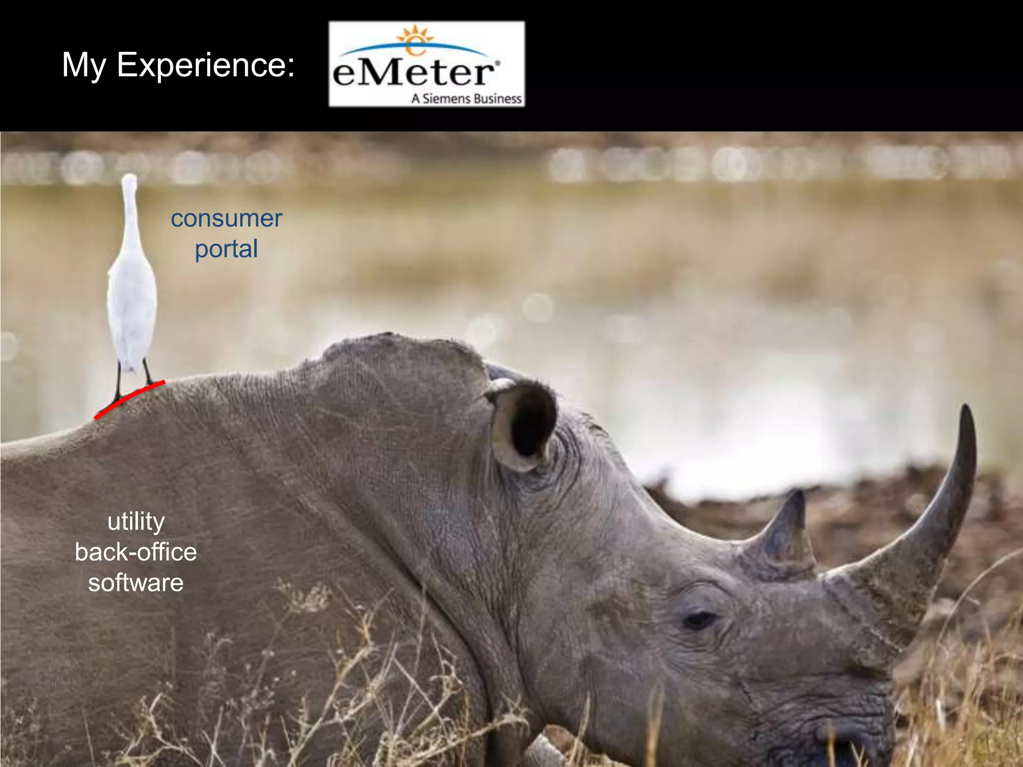 My Experience:

consumer
portal

utility
back-office
software

 