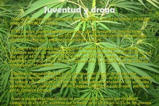 Juventud y droga Unas de las drogas mas consumidas por los jóvenes, son las de diseño, en las que destaca el MDMA o éxtasis. El 85% de los jóvenes españoles considera que el consumo de heroína tiene respuestas muy peligrosas y un 65% percibe lo mismo del éxtasis. Sin embargo, sólo el 23% cree que consumir cannabis tiene peligro. En cuanto a los métodos para combatir el consumo de drogas, los jóvenes españoles son los que menos importancia dan a la lucha contra el narcotráfico, ya que sólo el 44% dice que es eficaz, frente al 59% de la media comunitaria. Los españoles cree que es más eficaz el tratamiento y la rehabilitación, así como las campañas de información. España es el segundo país de la UE con mayor porcentaje de jóvenes que consumen cannabis, por detrás de Francia, ya que el 15% de los jóvenes españoles ha tomado esta droga en el último mes, según una encuesta sobre 'Las actitudes y opiniones de los jóvenes de la Unión Europea con relación a las drogas' publicada por la Comisión Europea. Francia encabeza la clasificación de porcentaje de jóvenes que consumen cannabis con el 19,8%, mientras que la media de la UE es del 11,3% de los jóvenes. 