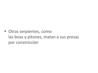 • Otras serpientes, como
las boas y pitones, matan a sus presas
por constricción
 