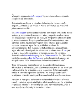 Ramones (recuperado) 3