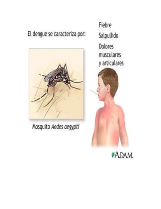 Ramones (recuperado) 3